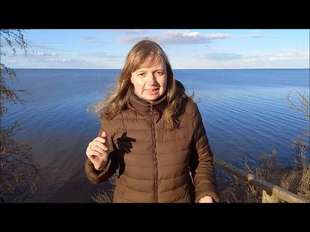 Старая Русса путешествие по новгородчине Вера со товарищи