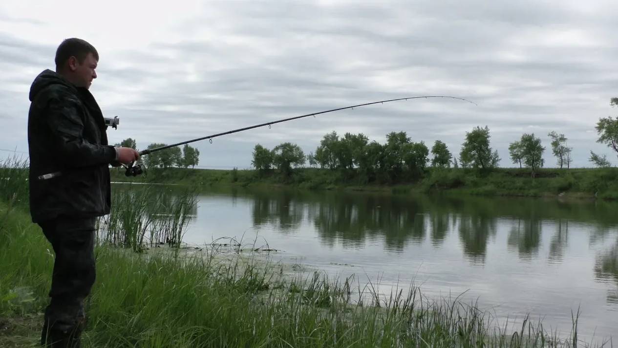 Закинул донку и сразу потащило. Рыбалка летом на фидер смотреть онлайн