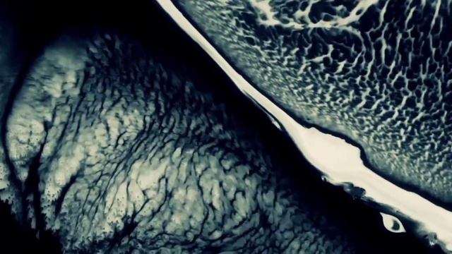 FALCON RMX | Georgy Gusev & Marco N'Hash смотреть онлайн