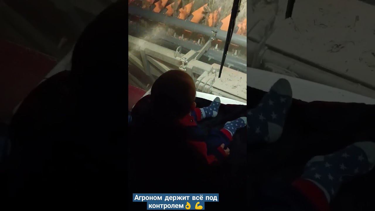 7 сентября 2023 г. смотреть онлайн