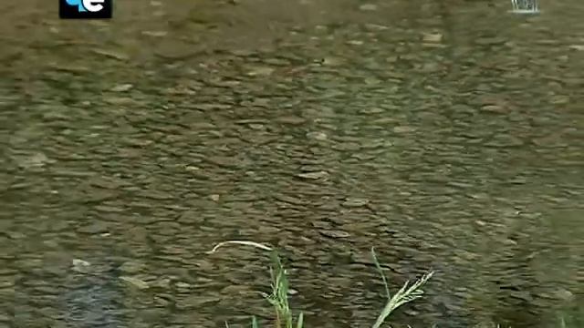 6 - Чистка родника в Осаново смотреть онлайн