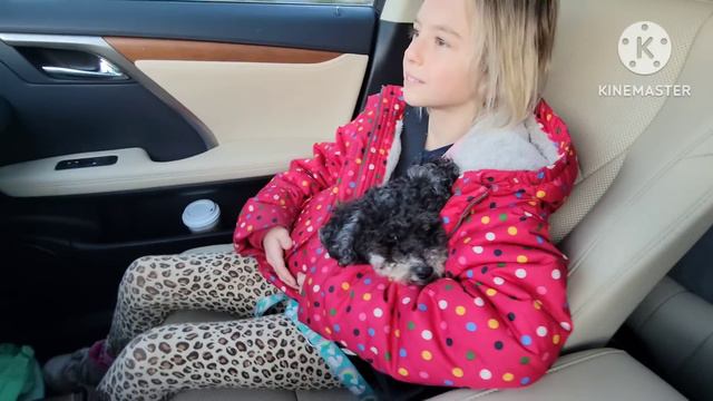 УТРО В КАЛИФОРНИИ. СТЕПАН УГОЩАЕТ МОЮ МАМУ ДОЧЬ И МЕНЯ смотреть онлайн