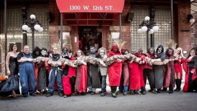 INCRÍVEL - COBRA GIGANTE ENTRA PARA O GUINNESS BOOK смотреть онлайн