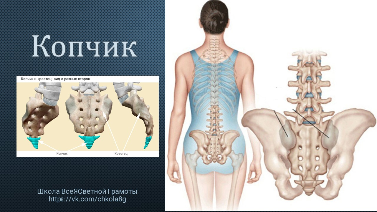 Копчик смотреть онлайн