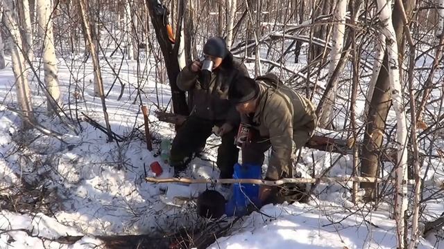 Пассивная охота на зверя, охота на волка, об оленях смотреть онлайн