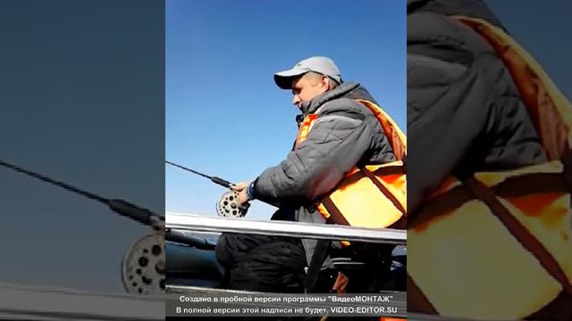 Осенний день на рыбалке , ловля на кольцо смотреть онлайн