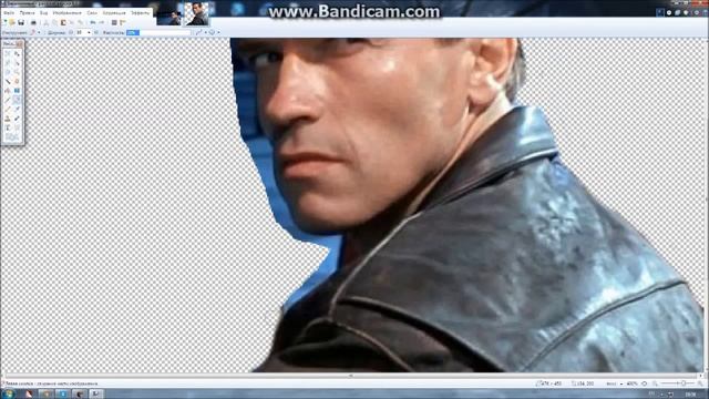 Как вырезать нужную часть фотографии в PAINT.NET смотреть онлайн