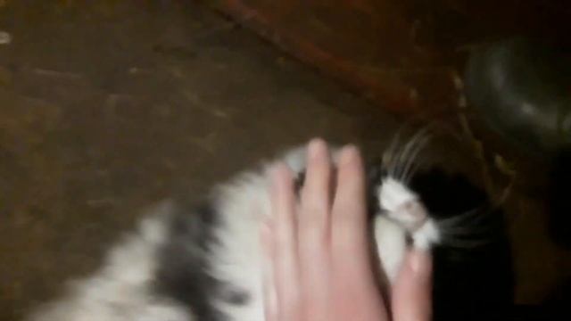 АРХИВ. На работе у Вовы / АЛЛЕЯ под окном / Учусь доить корову / Большой пузырь смотреть онлайн