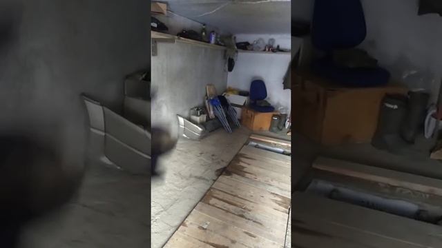 Взломали гараж! Считаю убытки!!! смотреть онлайн
