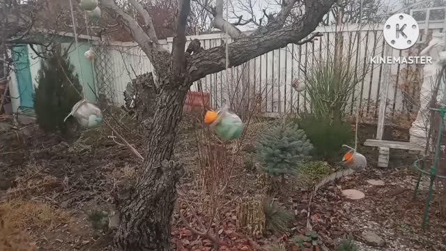 Декор для сада из мусора. смотреть онлайн