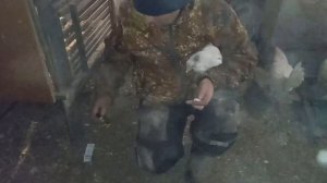 Делаем внутримышечную инъекцию курице правильно.