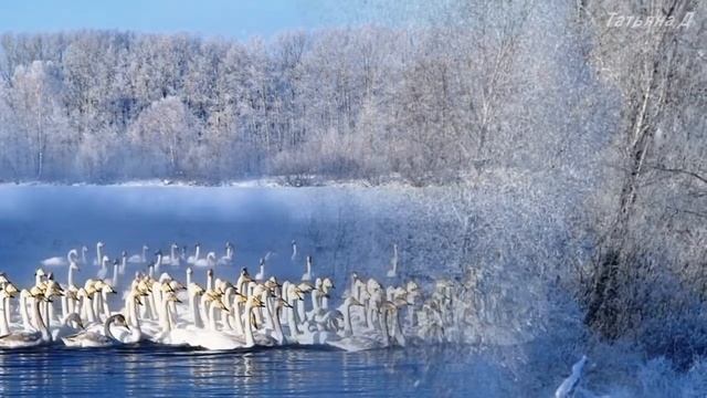 Ох, зима смотреть онлайн