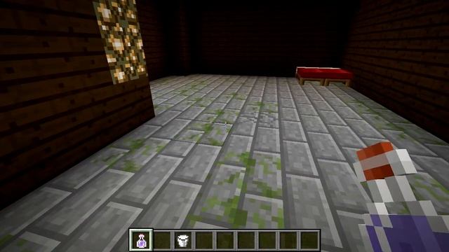 Minecraft Blocks & Items: Invisibility Potion смотреть онлайн
