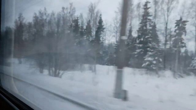 Вид из окна фирменного поезда Брянск - Москва "Иван Паристый*. Калужская область. смотреть онлайн