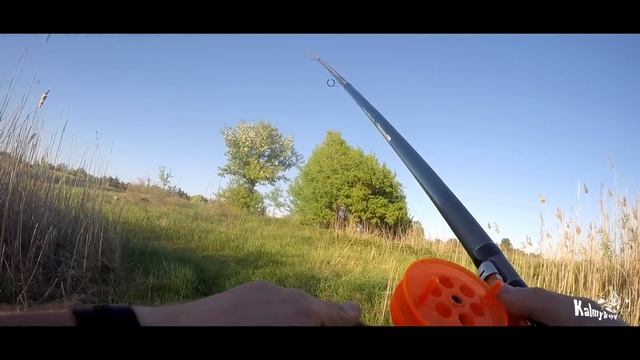 Ловля карася на удилище с боковым кивком смотреть онлайн