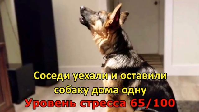 Самые углушающая звуки (1 часть) смотреть онлайн