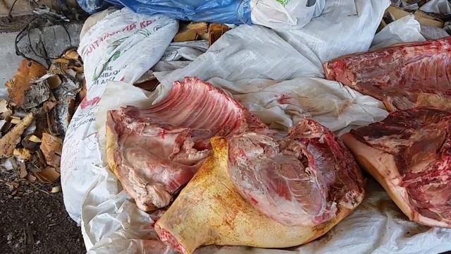 Выгодно ли заниматься свиноводством ? или что у нас нового смотреть онлайн