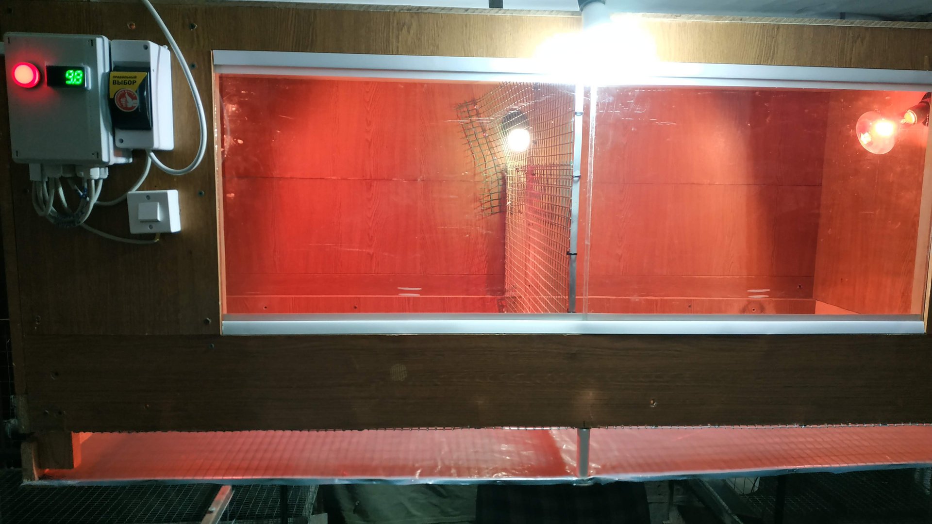 Постройка брудера для цыплят или брудер для цыплят своими руками