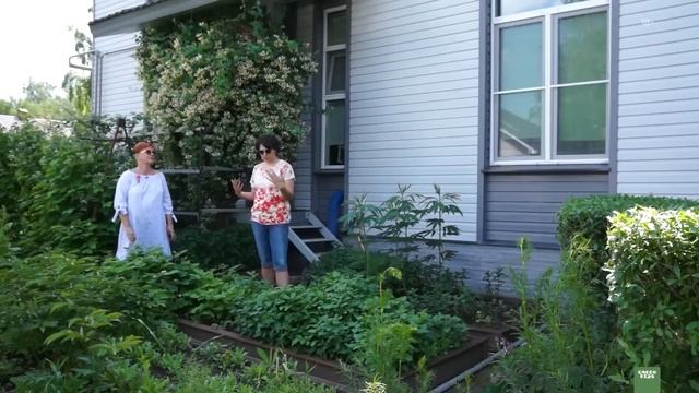 СОВРЕМЕННЫЙ ОГОРОД. Сборник ТОП 5 огородов смотреть онлайн