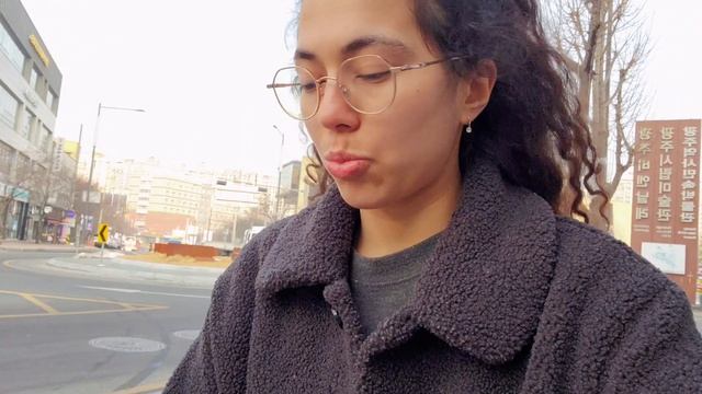 #KOREAVLOG Желтая пыль в Южной Корее/Груминг мальтипу в домашних условиях/Показала наш парк