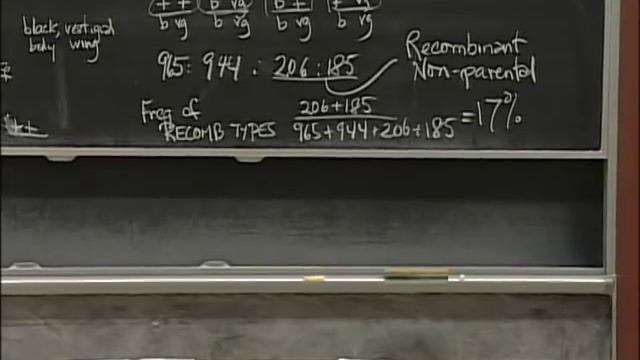 Linkage and Recombination, Genetic maps | MIT 7.01SC Fundamentals of Biology смотреть онлайн