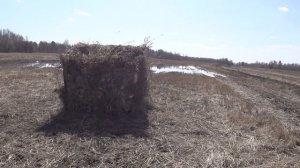 Маскировка для охоты на утку. Скрадки и маскировочные сети.