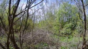 КАК СОБИРАТЬ ВАЛЕЖНИК В ЛЕСУ. И НЕ ПОПАСТЬ ПОД СТАТЬЮ ЗАКОНА.