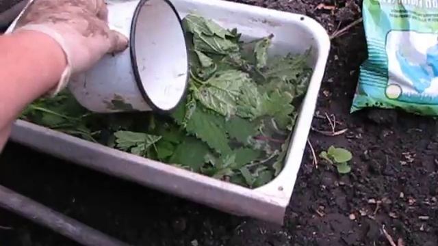 Готовим подкормку для растений. Цветет жимолость каприфоль! смотреть онлайн