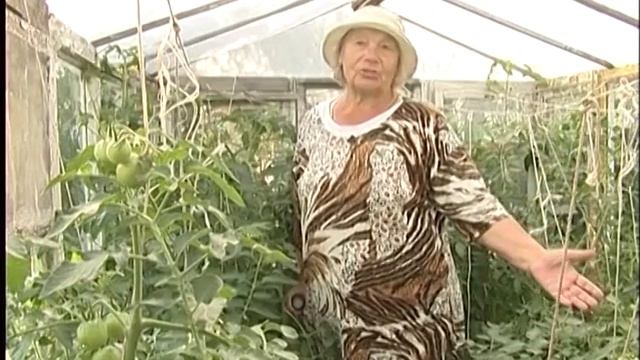 Томаты: отзывы о сортах Ляляфа, Гуливер, Грибное лукошко, Дворцовый