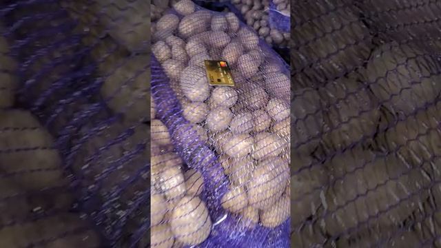 Картофель бриз смотреть онлайн