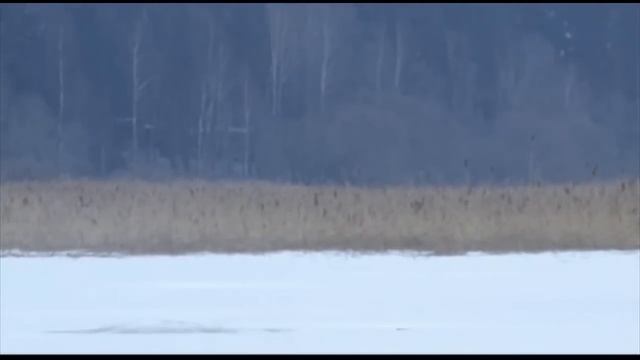 С Нормундом Грабовскисом на Зимнюю Рыбалку смотреть онлайн