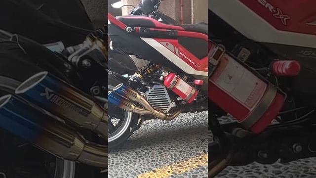 HONDA ZOOMER X SET UP. смотреть онлайн