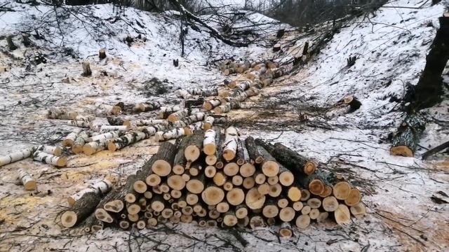 Поменял антенну интернета _и сделал много других дел . смотреть онлайн