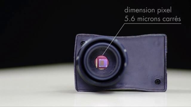 PERL Altaos смотреть онлайн