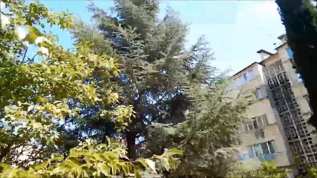 Загадки и призы лето Алушта смотреть онлайн