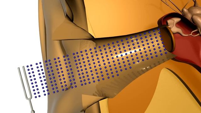 [4] Funkcjonowanie ludzkiego ucha (3Ds MAX + Mental Ray) смотреть онлайн