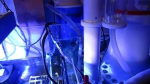 Bubble Magus Curve 7 Впечатления от скимера