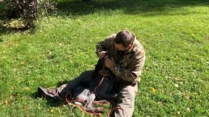 Что делать если собака всего боится