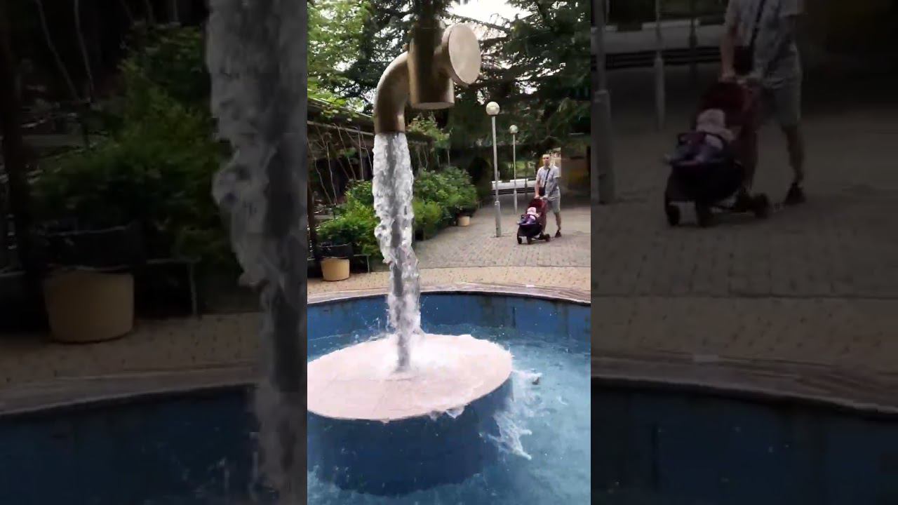 07.05.23 г. Погода Лазаревское #shorts #пингвин #лазаревское смотреть онлайн