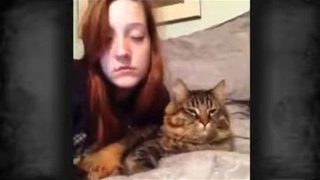 приколы 2 смотреть онлайн