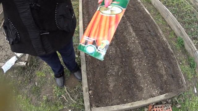 МОРКОВЬ, СРОКИ И ПРАВИЛА ПОСЕВА ВЕСНОЙ. смотреть онлайн