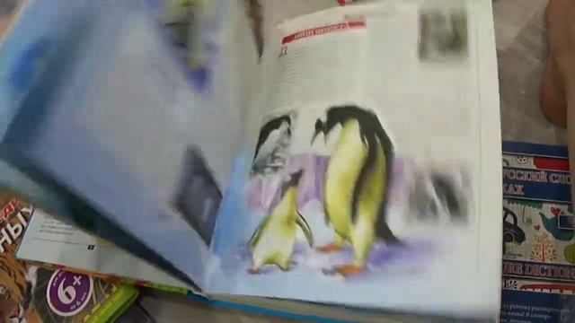 VLOG: ПОКУПКИ, ПОДАРКИ, ВЫКИДЫВАЮ ИГРУШКИ смотреть онлайн