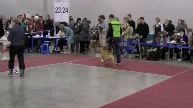 Евразия день 2 (1)