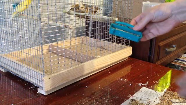 Уборка в клетке с птицами смотреть онлайн