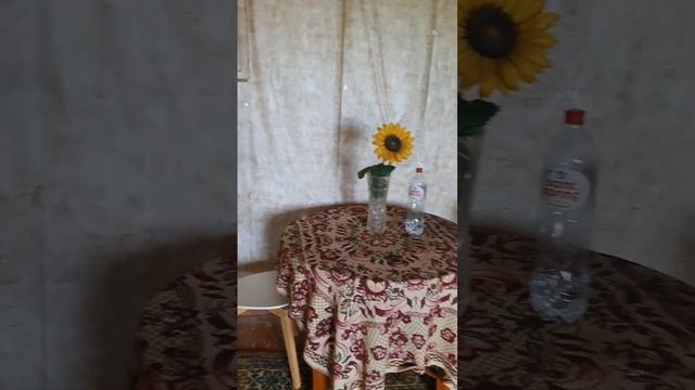 2 к кв г Домодедово, мкр. Белые Столбы, ул. 2 я Московская, д.60 4/4 эт кирпичного дома. смотреть онлайн