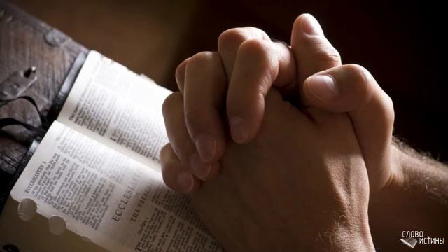 Воскресное богослужение 11.02.2024 смотреть онлайн