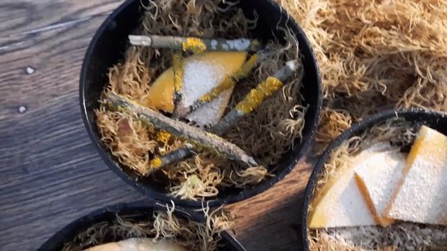 ОТПРАВКА УЛИТОК/ КАК ЗАПАКОВАТЬ? смотреть онлайн