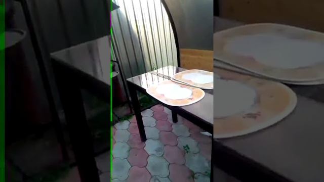 беседка с поликарбоната конечный результат