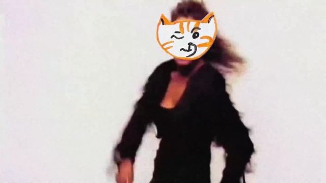 Почему собаки и кошки не любят друг друга? смотреть онлайн