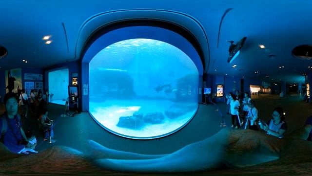 名古屋水族館 殺人鯨 (LG360) смотреть онлайн
